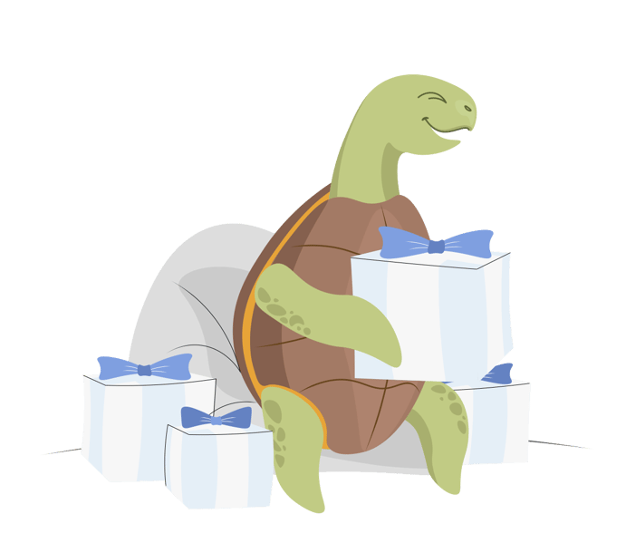 turtle-presents