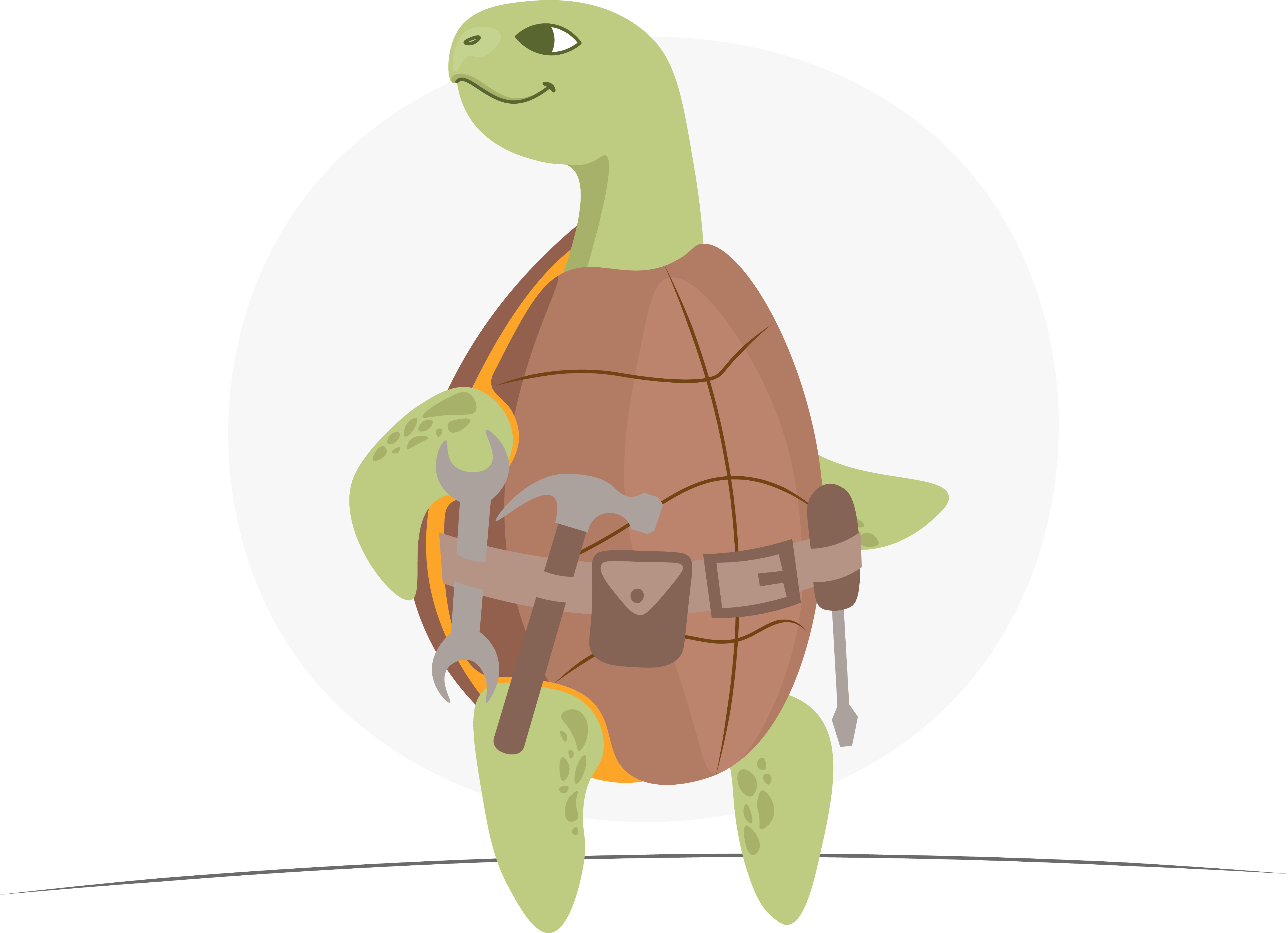 2_ToolbeltTurtle