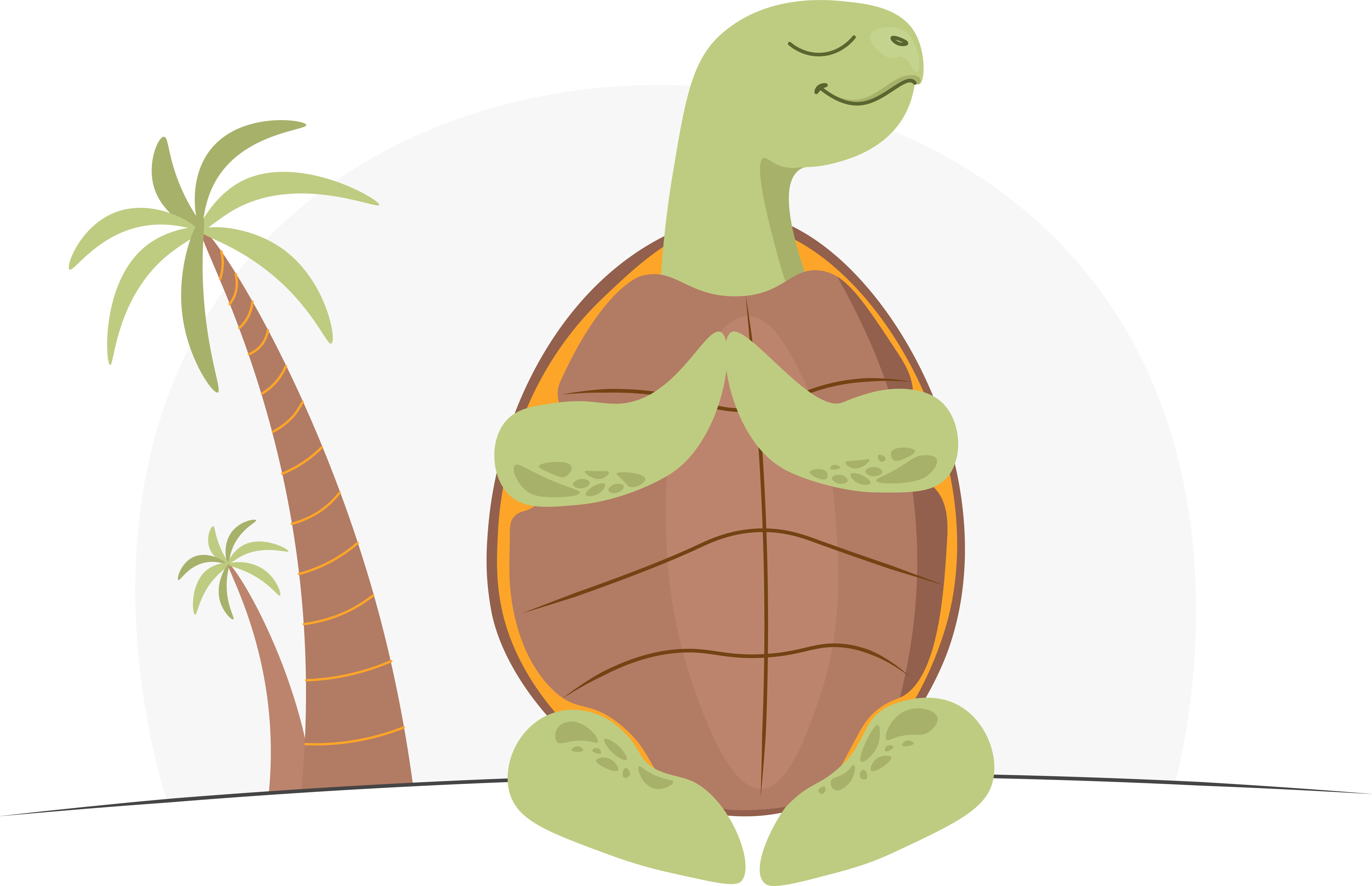 5_YogaTurtle