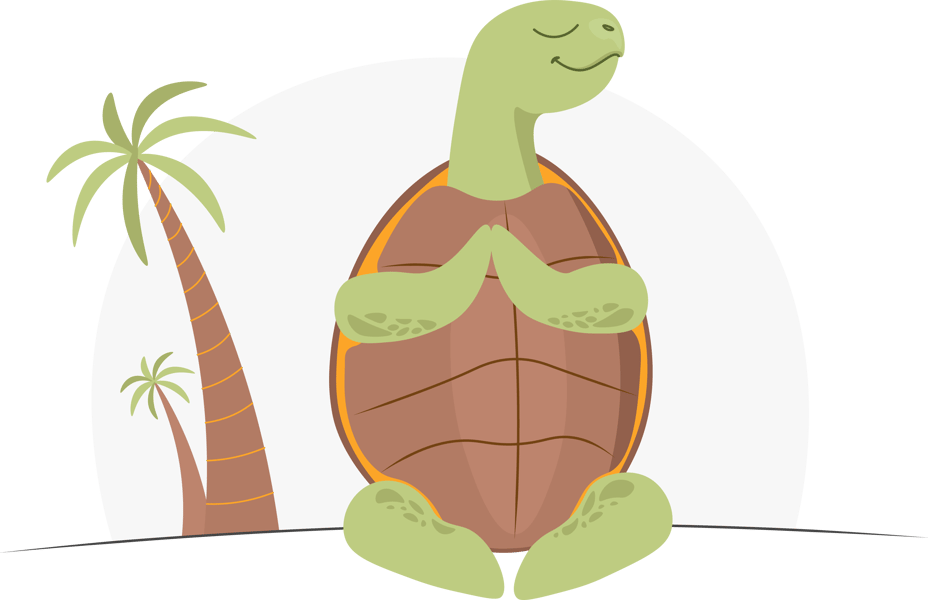 5_YogaTurtle