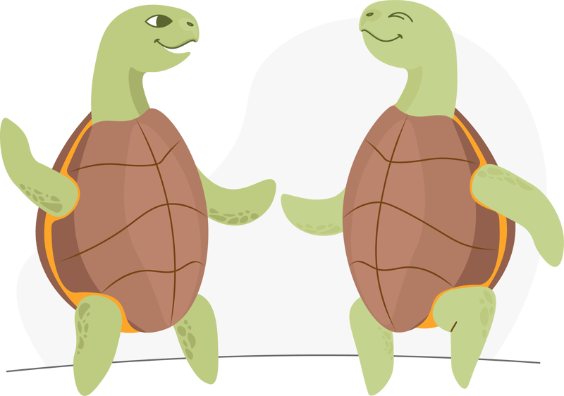 6_turtles_dancing_fin