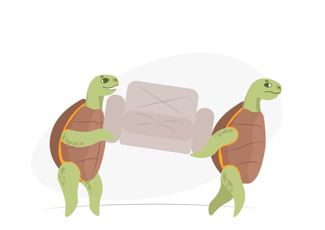 turtle_team_work_1_final