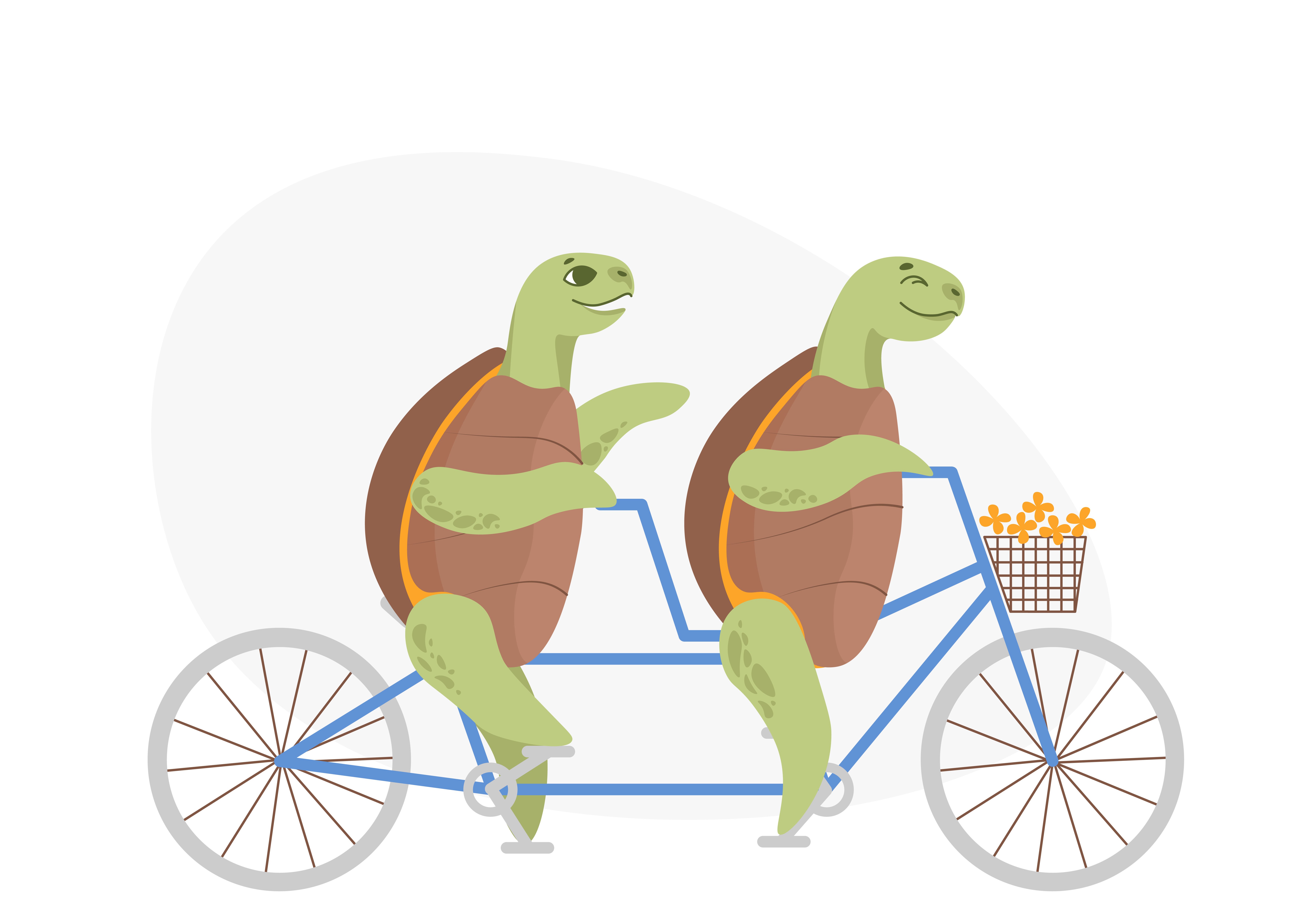 turtle_team_work_2_final-2